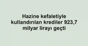 Hazine kefaletiyle kullandırılan krediler 923,7 milyar lirayı geçti