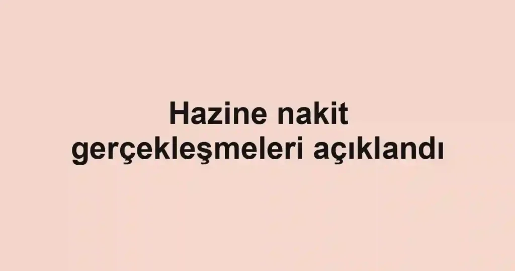 Hazine nakit gerçekleşmeleri açıklandı