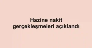 Hazine nakit gerçekleşmeleri açıklandı