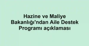 Hazine ve Maliye Bakanlığı'ndan Aile Destek Programı açıklaması