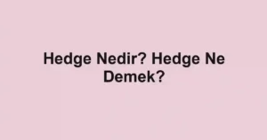 Hedge Nedir? Hedge Ne Demek?