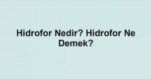 Hidrofor Nedir? Hidrofor Ne Demek?