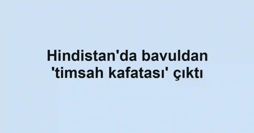 Hindistan'da bavuldan 'timsah kafatası' çıktı