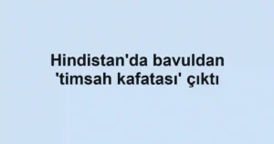 Hindistan'da bavuldan 'timsah kafatası' çıktı