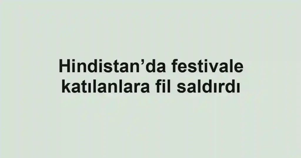 Hindistan’da festivale katılanlara fil saldırdı