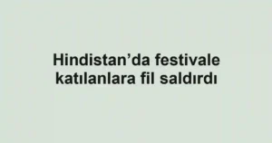 Hindistan’da festivale katılanlara fil saldırdı