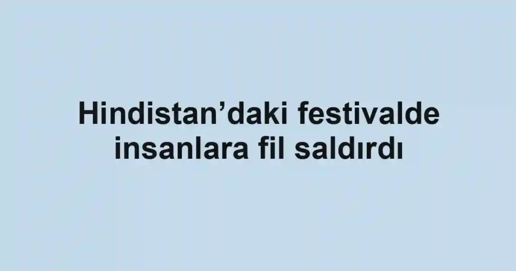 Hindistan’daki festivalde insanlara fil saldırdı