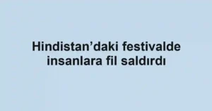 Hindistan’daki festivalde insanlara fil saldırdı