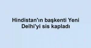 Hindistan'ın başkenti Yeni Delhi'yi sis kapladı