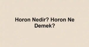 Horon Nedir? Horon Ne Demek?