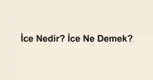 İce Nedir? İce Ne Demek?