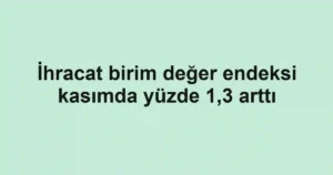 İhracat birim değer endeksi kasımda yüzde 1,3 arttı