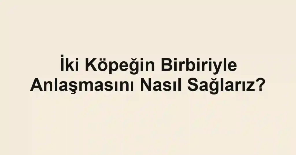 İki Köpeğin Birbiriyle Anlaşmasını Nasıl Sağlarız?