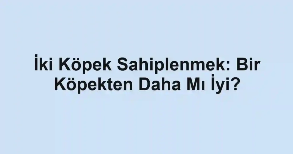 İki Köpek Sahiplenmek: Bir Köpekten Daha Mı İyi?