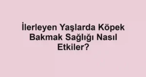 İlerleyen Yaşlarda Köpek Bakmak Sağlığı Nasıl Etkiler?