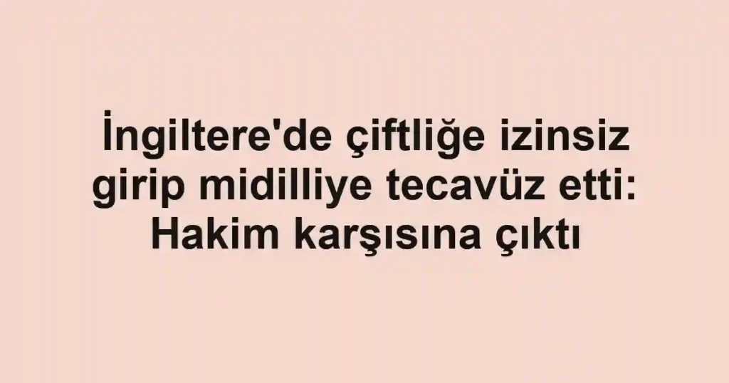 İngiltere'de çiftliğe izinsiz girip midilliye tecavüz etti: Hakim karşısına çıktı