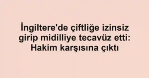 İngiltere'de çiftliğe izinsiz girip midilliye tecavüz etti: Hakim karşısına çıktı