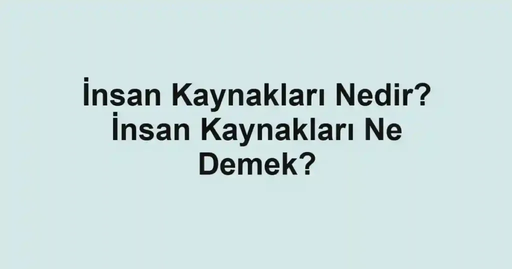 İnsan Kaynakları Nedir? İnsan Kaynakları Ne Demek?