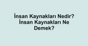 İnsan Kaynakları Nedir? İnsan Kaynakları Ne Demek?