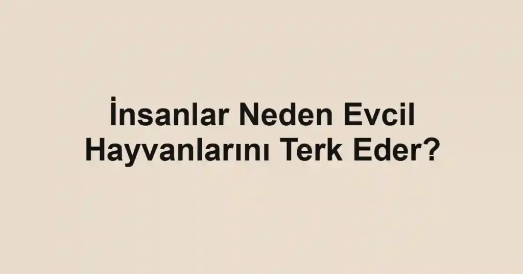 İnsanlar Neden Evcil Hayvanlarını Terk Eder?