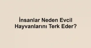 İnsanlar Neden Evcil Hayvanlarını Terk Eder?