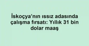 İskoçya’nın ıssız adasında çalışma fırsatı: Yıllık 31 bin dolar maaş