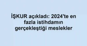 İŞKUR açıkladı: 2024'te en fazla istihdamın gerçekleştiği meslekler