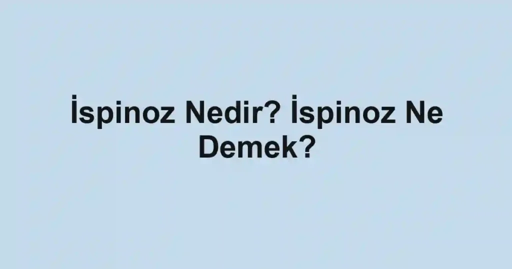 İspinoz Nedir? İspinoz Ne Demek?