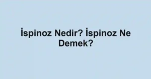 İspinoz Nedir? İspinoz Ne Demek?