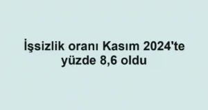 İşsizlik oranı Kasım 2024'te yüzde 8,6 oldu