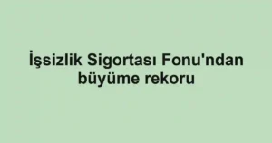 İşsizlik Sigortası Fonu'ndan büyüme rekoru