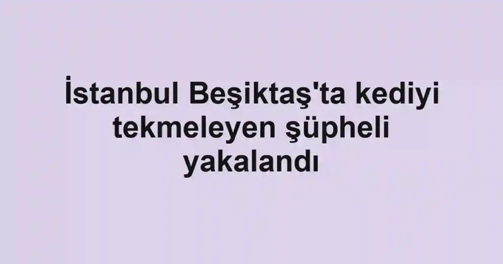 İstanbul Beşiktaş'ta kediyi tekmeleyen şüpheli yakalandı