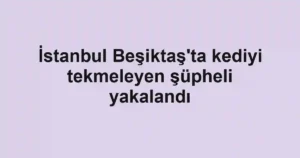 İstanbul Beşiktaş'ta kediyi tekmeleyen şüpheli yakalandı