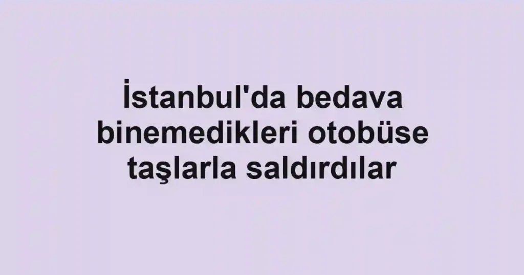 İstanbul'da bedava binemedikleri otobüse taşlarla saldırdılar