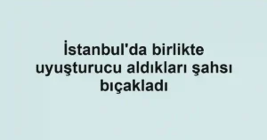 İstanbul'da birlikte uyuşturucu aldıkları şahsı bıçakladı