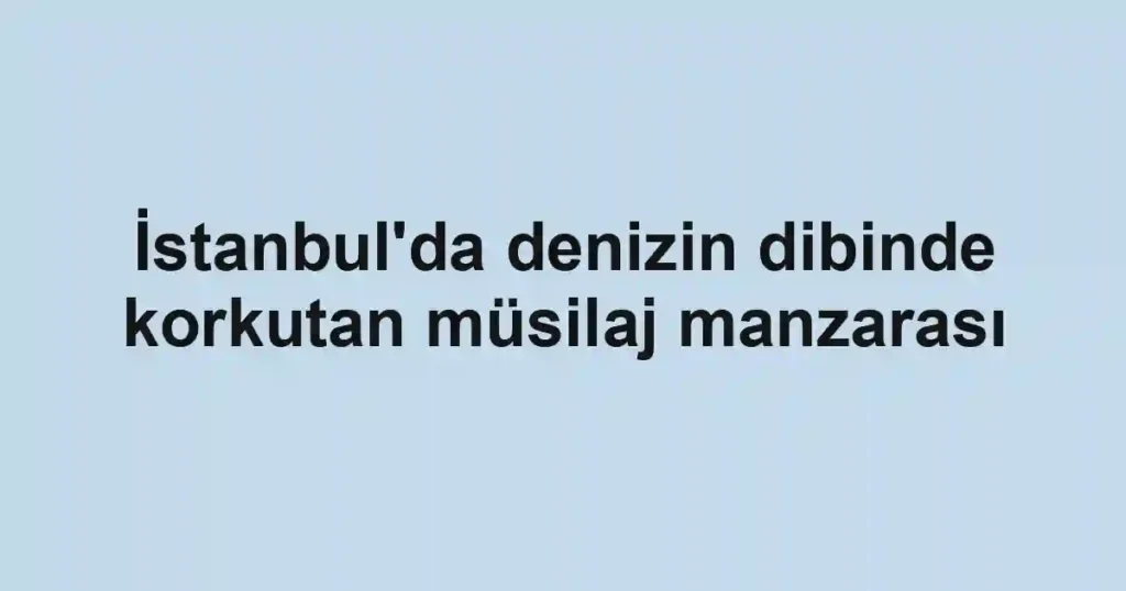 İstanbul'da denizin dibinde korkutan müsilaj manzarası