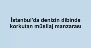 İstanbul'da denizin dibinde korkutan müsilaj manzarası