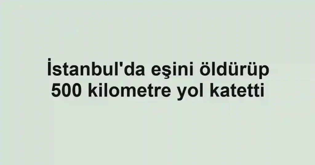İstanbul'da eşini öldürüp 500 kilometre yol katetti