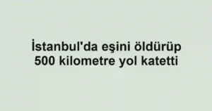 İstanbul'da eşini öldürüp 500 kilometre yol katetti