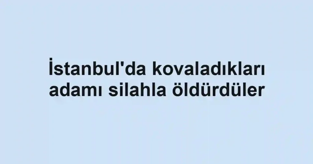 İstanbul'da kovaladıkları adamı silahla öldürdüler