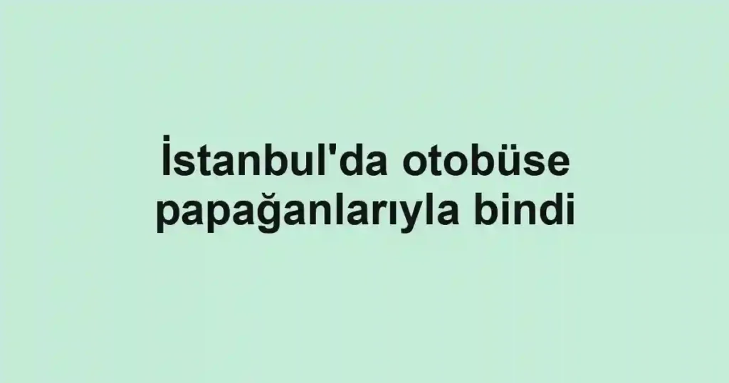 İstanbul'da otobüse papağanlarıyla bindi