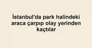 İstanbul'da park halindeki araca çarpıp olay yerinden kaçtılar