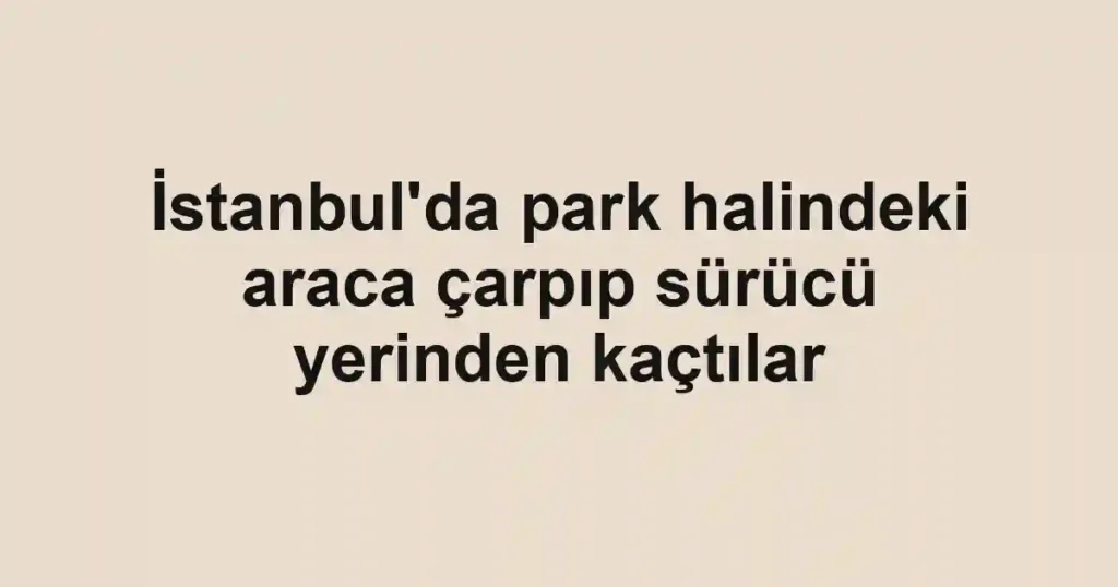 İstanbul'da park halindeki araca çarpıp sürücü yerinden kaçtılar