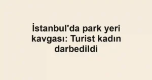 İstanbul'da park yeri kavgası: Turist kadın darbedildi