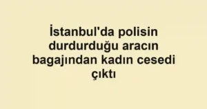 İstanbul'da polisin durdurduğu aracın bagajından kadın cesedi çıktı