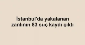 İstanbul'da yakalanan zanlının 83 suç kaydı çıktı