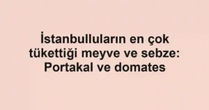 İstanbulluların en çok tükettiği meyve ve sebze: Portakal ve domates