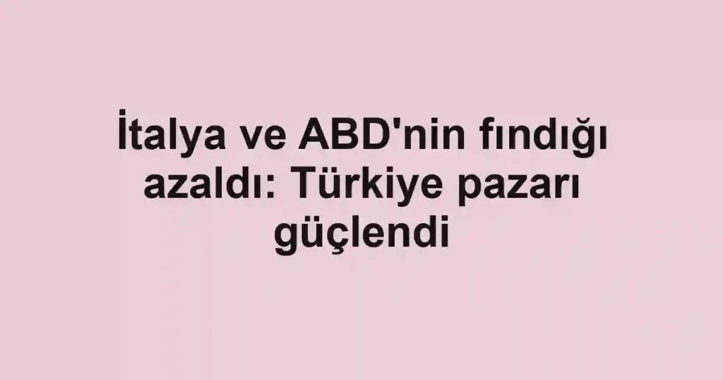 İtalya ve ABD'nin fındığı azaldı: Türkiye pazarı güçlendi