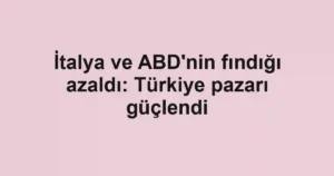İtalya ve ABD'nin fındığı azaldı: Türkiye pazarı güçlendi