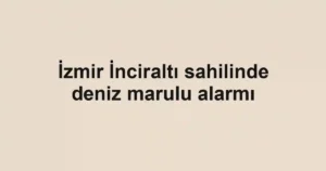 İzmir İnciraltı sahilinde deniz marulu alarmı
